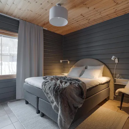 In Out, Levi World Cup Slope Holiday home
